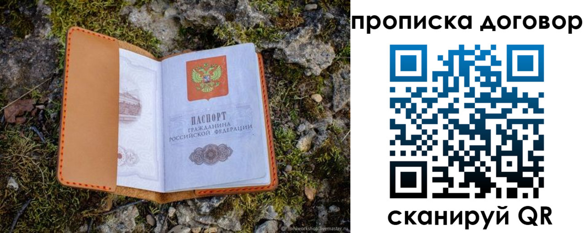 временная прописка в Зернограде